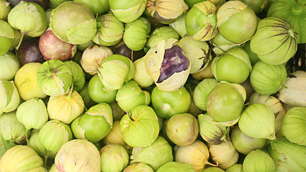tomatillo -sveze ubran